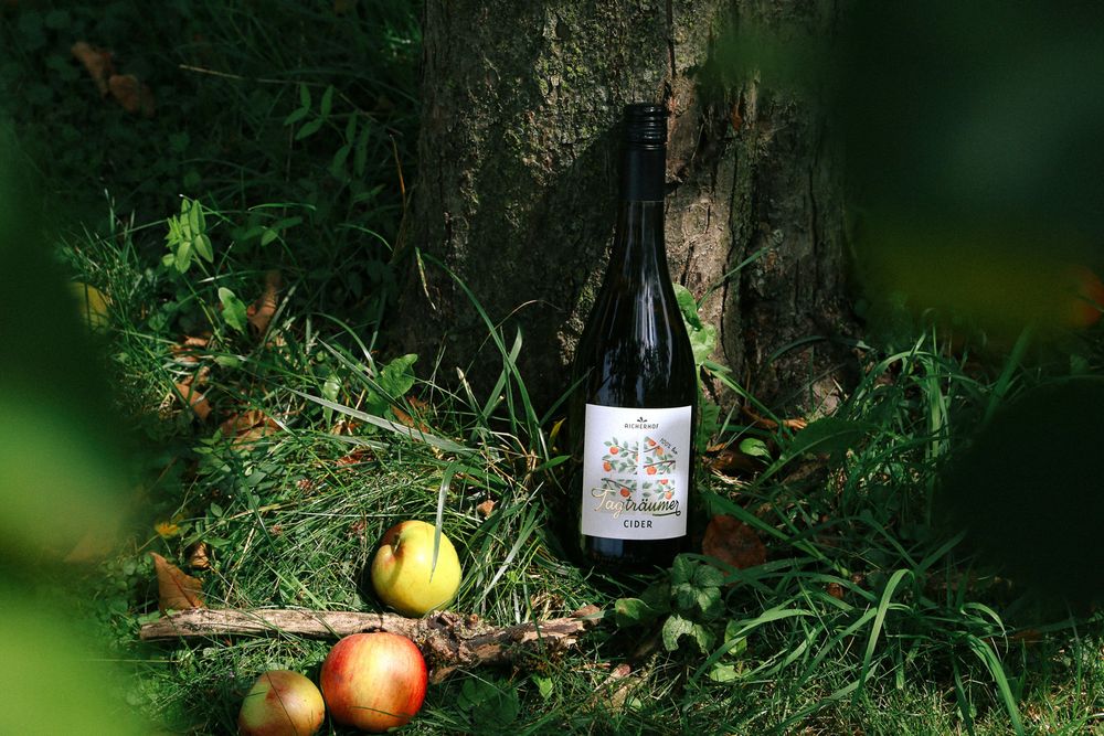 Eine Flasche Apfel-Cider mit dem gestalteten Etikett von Katharina Damm Kreativstudio an der Rinde des Apfelbaumes.